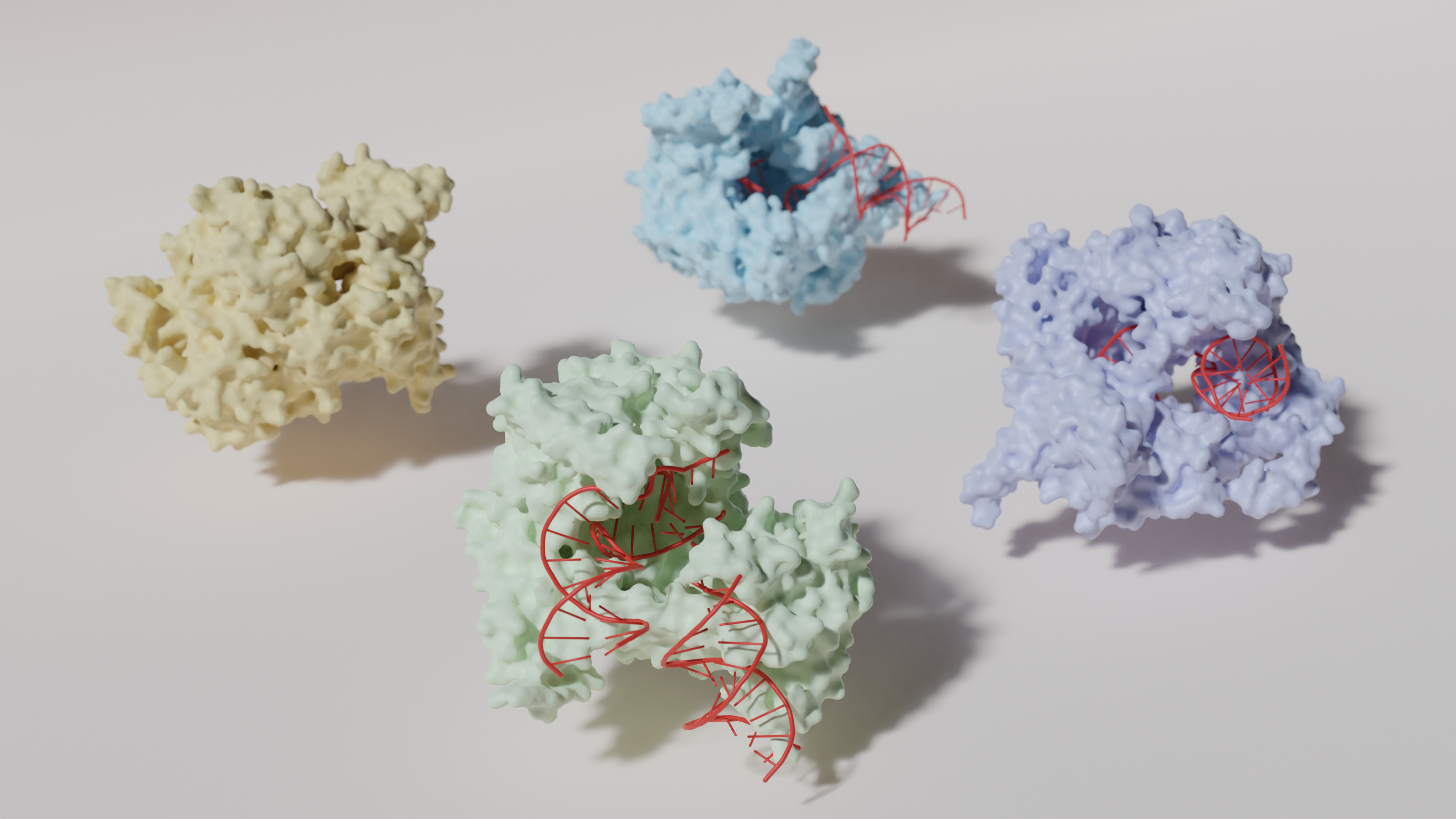 Biomatter-enzymes.png Biomatter-enzymes.png