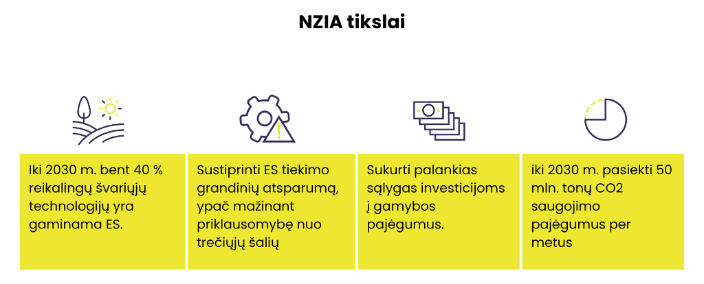 NZIA tikslai