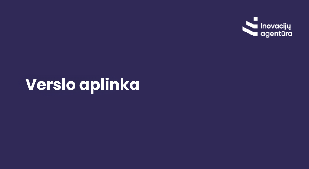 Verslo aplinka.png
